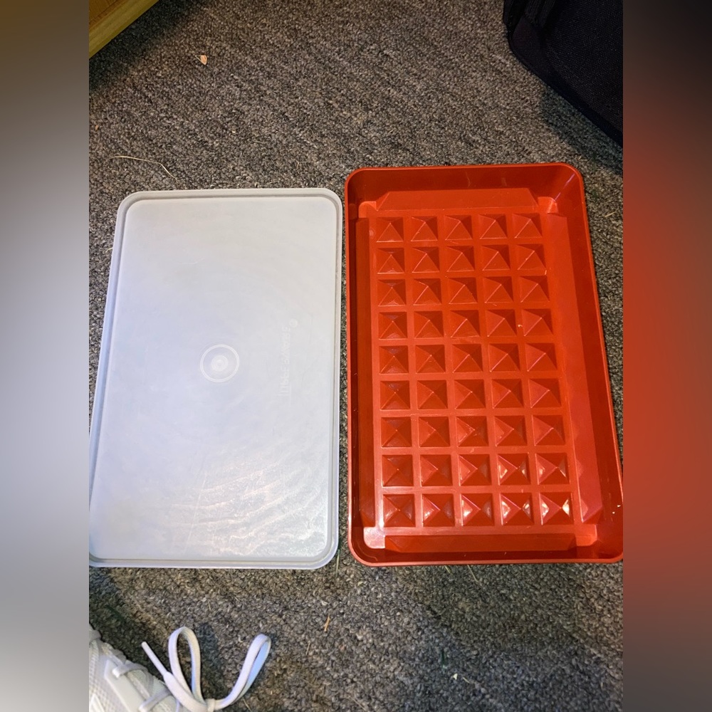 TUPPERWARE HOT DOG BACON KEEPER MEAT TENDERIZER CONTAINER & LID